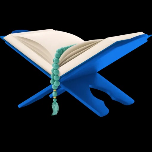 surahayaseen's avatar