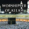 abo salem's avatar